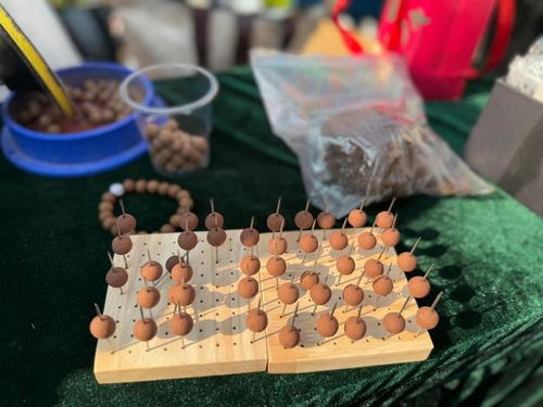 今日小雪，寶山健康廟會引領養生新潮流 中醫美式咖啡與中藥手串共舞