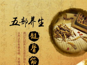 融合中醫養生文化，打造專業展板設計——高清PSD模板助力企業健康服務推廣